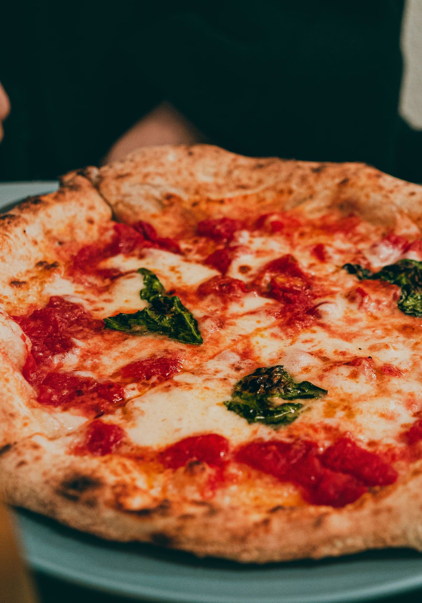 Classic Cheese - Santos Wood FIre Pizza Classic Cheese